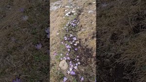 пещеры в районе г.Баранаха