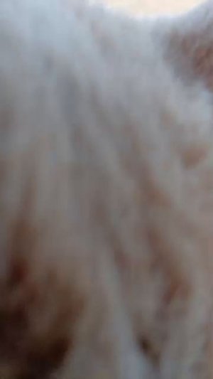 выполняю ваше задание на улице