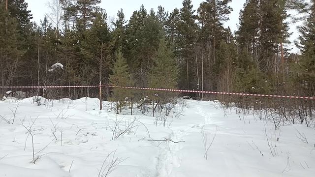 Это надо слышать! смотреть онлайн