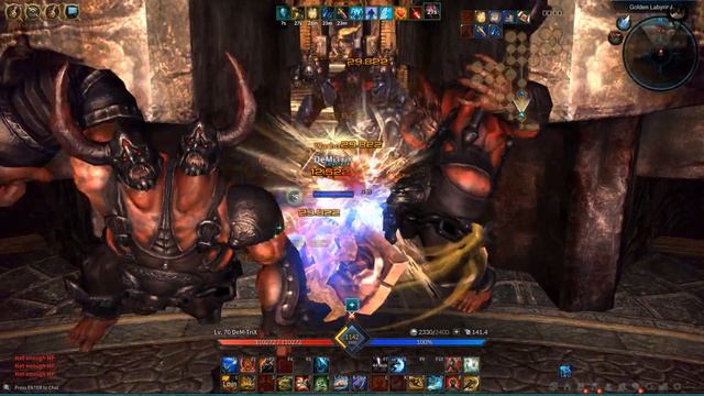 Omni TERA inst raid walkthrough №6 Golden Labyrinth