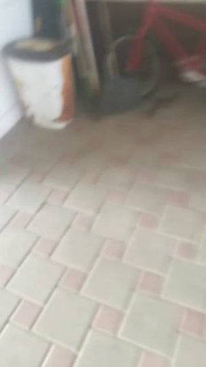 на улице 5 серия!