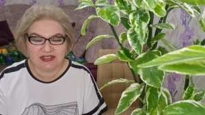 4 часть. У вислоухих душ для писк@струя❗️