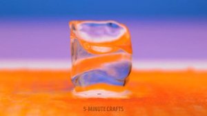 ЦВЕТНЫЕ ЧУДЕСА  Яркие DIY Идеи для Настроения!