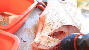 Готовим лучшее блюдо из рыбы Рыбные рецепты Видео рецепты Простые рецепты Вкусные рецепты