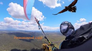 Высота