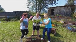 Позитив и прекрасное настроение! "Кабачок Толстячок" - Хохма от "Гуляночки".