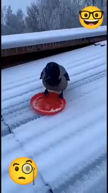 Что это..😯 🧐