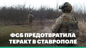 ФСБ сообщила о предотвращении теракта в Ставрополе