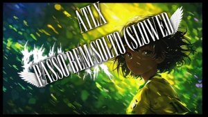 PASSO BEM SOLTO (SLOWED)