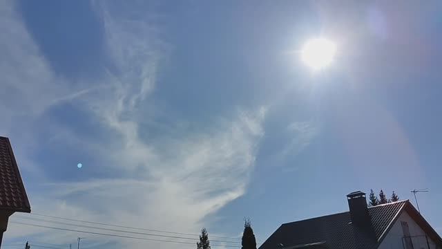 Солнечная погода сменилась, дождь!!! Пеку хлеб!!! Паутинный клещ на черенках!!! Взошла редиска!!!