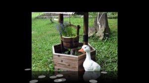 Дачные премудрости ! (20)