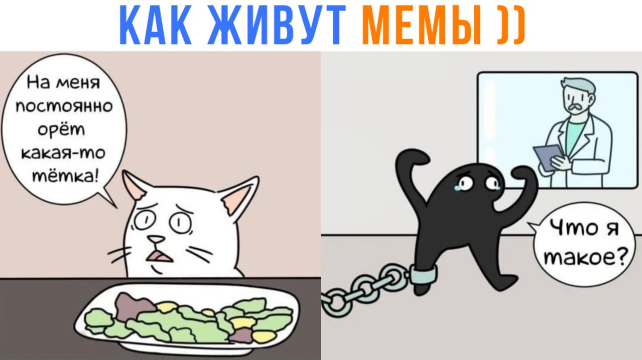 КАК ЖИВУТ МЕМЫ))) Комиксы | Мемозг 1736 смотреть онлайн
