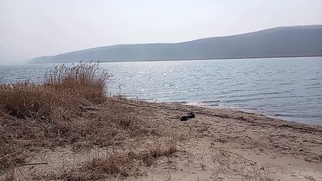 Устье реки Волчанка. Волчанец. Недалеко от Находки.