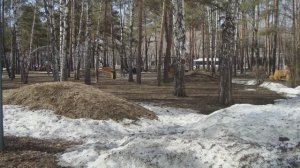 Весна в городе. Начало апреля 2024 г. г. Тюмень.