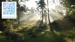 Субботнее богослужение 28.03.2026 // Вечеря Господня // Глотов А // адвентисты Брянска