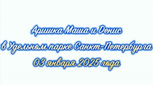 Вечерний променад в Удельном парке Санкт-Петербурга Дроздовых
