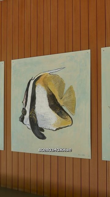 Patina Maldives Fari Islands