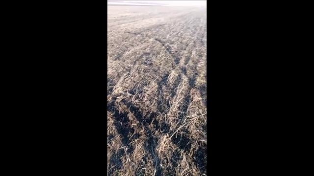 питбайк TTR125 ирбис 01