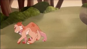 Кленовница мап коты воители