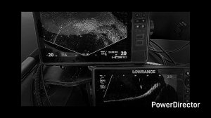 Active target 2x2 ч/б