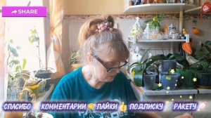 🖋️🚀КТО БРЕЗГЛИВЫЙ НЕ СМОТРИТЕ 💃🔥МОИ БУДНИ 🖋️🚀