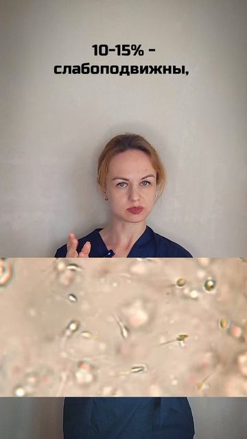 Спермограмма.mp4