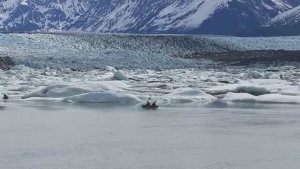 Дикая Аляска. Жизнь дикой природы на Аляске. Расслабляющая музыка.