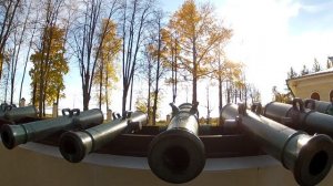 Пушки. Бородино.