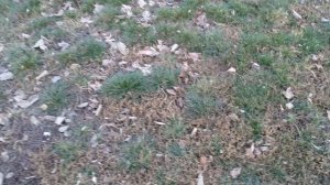 Прогулка по парку "Солнечный" вечером 28-03-2026