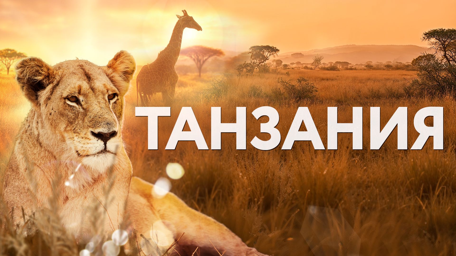 НАСТОЯЩАЯ ТАНЗАНИЯ: Честный топ мест. Занзибар и сафари за   что стоит денег а что развод?