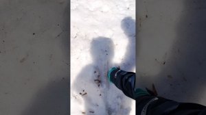 розыгрыш