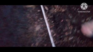 охота на сиреноголоува (2 раздел/4часть)