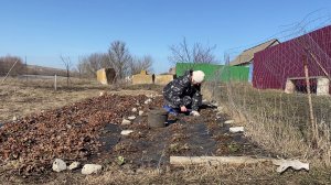 Простая жизнь в деревне🏡 К верху опой на клубнике🍓🌱 Закупились продуктами🛍️🛒