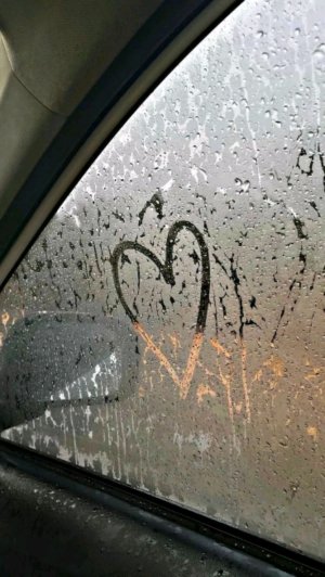 ярмарки, лорёк