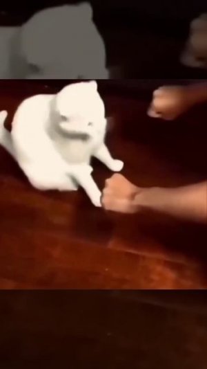 Как я учусь на своих ошибках