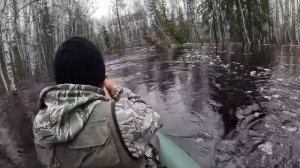 Охота на уток. Весна