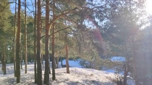 Мы родом из детства...