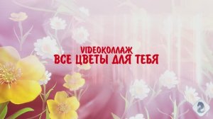 #ВсеЦветыДляТебя#Видеоklass#ЖаннаДаценко#ЦветыЖизни#ЖизньПрекрасна#