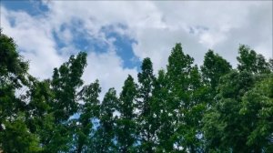 Вы сами себе закрыли дороги. Что держит вас на дне.