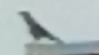 играем с Тимохой в стенд