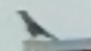 играем с Тимохой в стенд