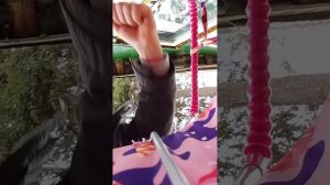 Гуляем с пушистиком