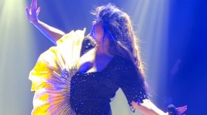 Желтые тюльпаны