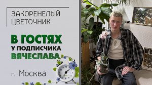 В гостях у Вячеслава г. Москва. Редкие орхидеи, оранжерея, попугай, палочники, ящерицы и пауки.