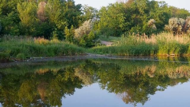 Он не лучше рязанских раздолий...
