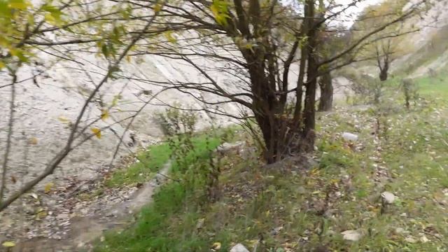 МОЛОВАТА 3-5 ноября 2024 осенняя прогулка смотреть онлайн
