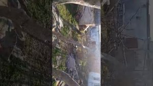 стрим в вадваре у максима