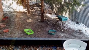 Добрый вечер