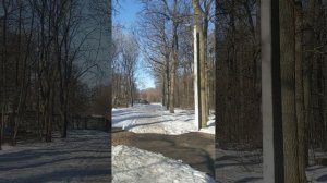 Я на солнышко гляжу, в порядок мысли привожу.