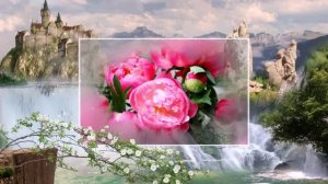 Три чайных розы